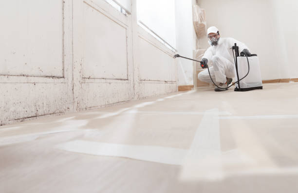 24/7 Emergency Mold Remediation experts in Warrenton, VA