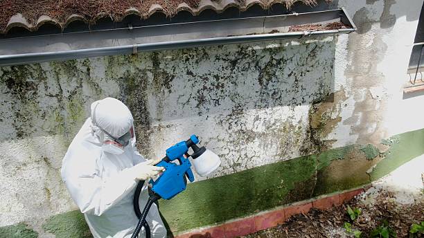 Top rated local Mold Remediation specialists in Warrenton, VA